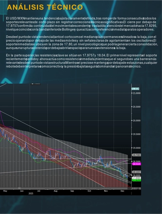 Morning Call Diciembre 24/2025 — page 13