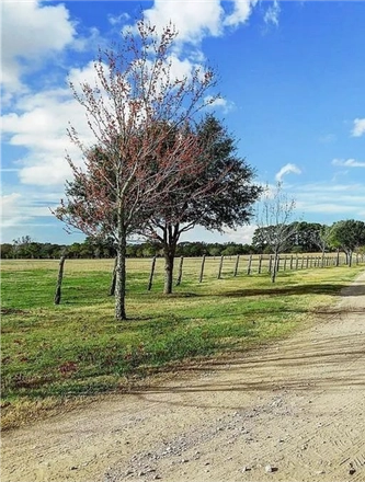 The 20M+Texas — page 62