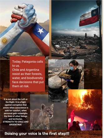 Green Women Magazine January 2026 — page 14