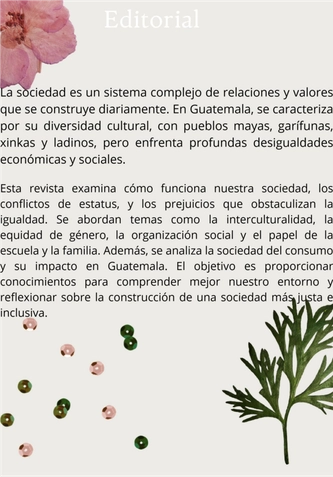 Revista digitan final — page 2