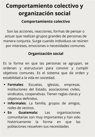 Revista digitan final — page 8