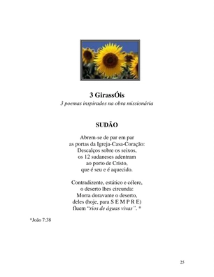 A Blindagem Azul - Poemas - Sammis Reachers — page 25