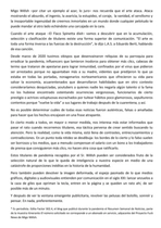 La Biblia difinitiva de la cuarentena — page 7