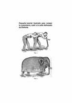La Biblia difinitiva de la cuarentena — page 82