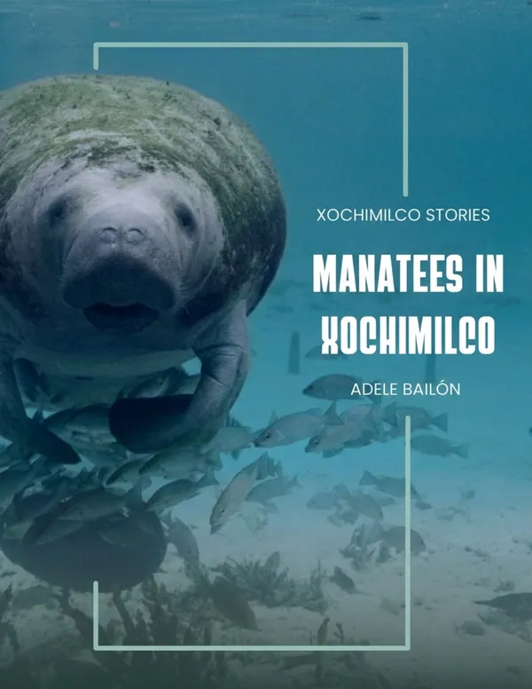 Manatees in Xochimilco 