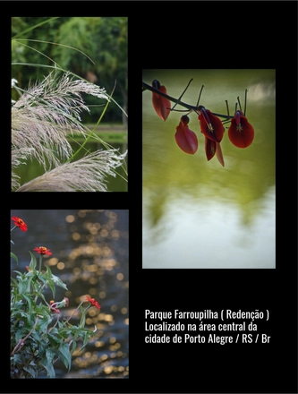 FARROUPILHA PARK — page 11