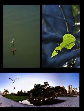 FARROUPILHA PARK — page 21