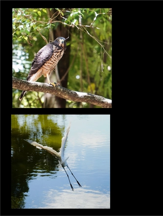 FARROUPILHA PARK — page 22