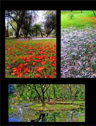 FARROUPILHA PARK — page 24