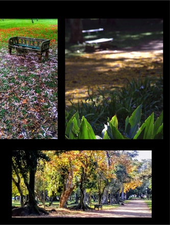 FARROUPILHA PARK — page 25