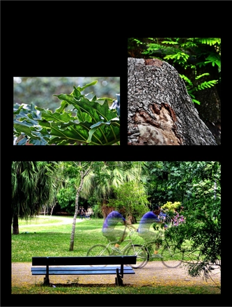 FARROUPILHA PARK — page 4