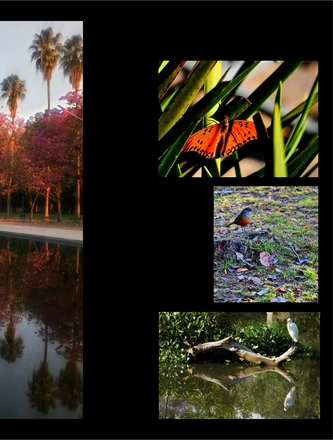 FARROUPILHA PARK — page 7
