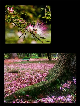 FARROUPILHA PARK — page 8