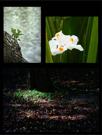 FARROUPILHA PARK — page 9