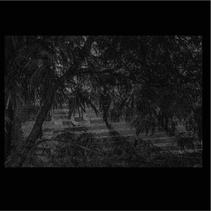 CENTRO SP — page 53