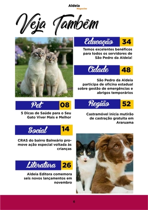 Revista Aldeia Magazine – Edição 064 — page 6
