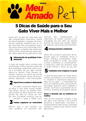 Revista Aldeia Magazine – Edição 064 — page 8