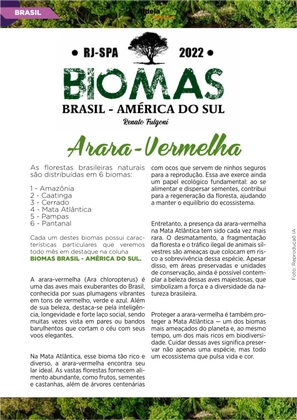 Revista Aldeia Magazine – Edição 064 — page 76