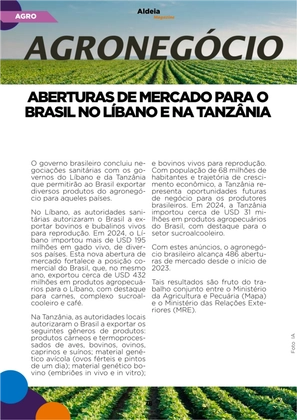 Revista Aldeia Magazine – Edição 064 — page 78