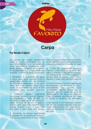 Revista Aldeia Magazine – Edição 064 — page 80