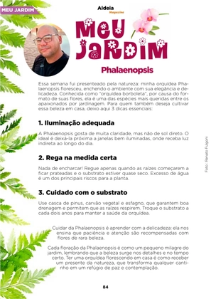 Revista Aldeia Magazine – Edição 064 — page 84