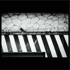 LAPA SP — page 7