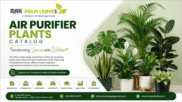 CATALOUGE OF AIR PURIFIER PLANTS