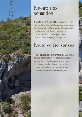 refugio do fetal — page 7