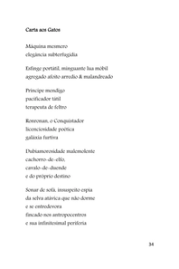 CARTAS E RETORNOS - Poemas - Sammis Reachers — page 34