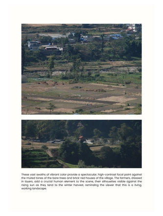 Winter Magazine — page 6