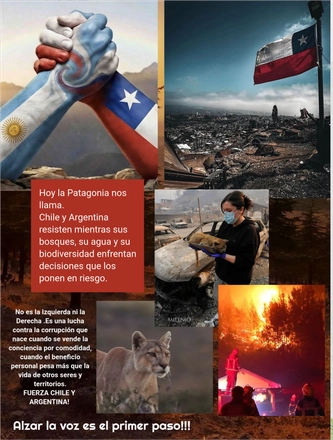 Revista Green Women Enero 2026 — page 14