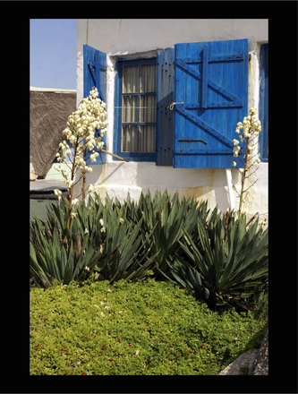 PUNTA DEL DIABLO URUGUAY — page 15