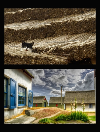 PUNTA DEL DIABLO URUGUAY — page 18