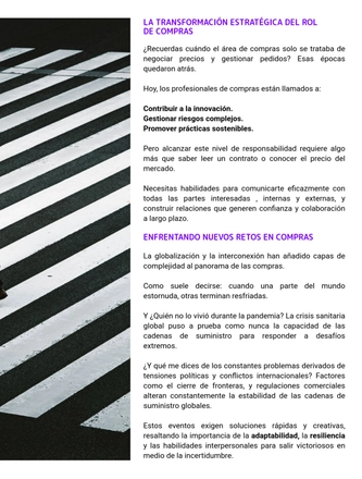 Datachain - IA en la Cadena de Suministro — page 25