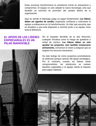 Datachain - IA en la Cadena de Suministro — page 39