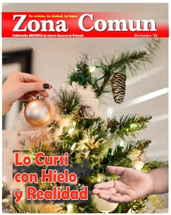 Revista Zona Comun 117 Diciembre 2025