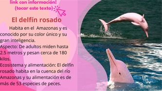 OK 6toA (Montoya, Aranda, Fernandez y Servera — page 3