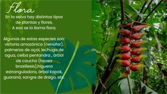 OK 6toA (Montoya, Aranda, Fernandez y Servera — page 4