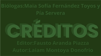OK 6toA (Montoya, Aranda, Fernandez y Servera — page 8