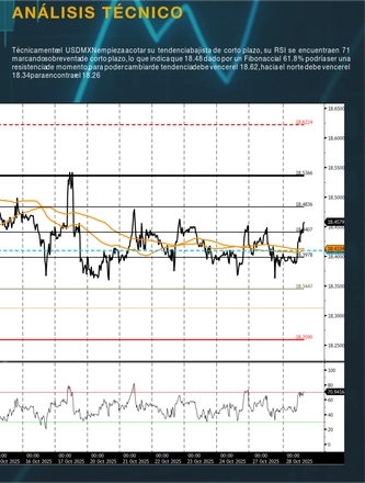 Oct 28, 2025 Morning Call — page 13