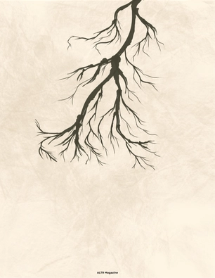ROOTS — page 13