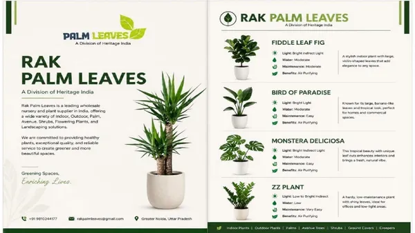CATALOUGE OF INDOR PLANTS