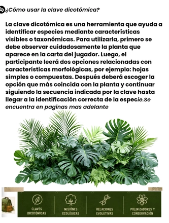 Sistematica vegetal