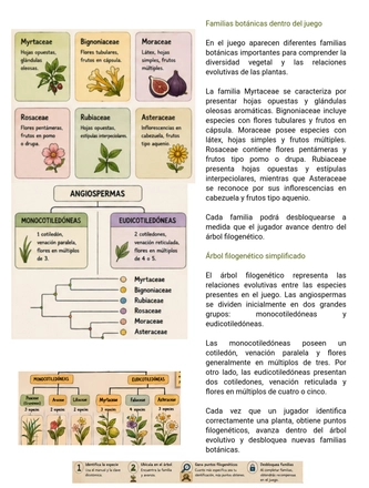 Sistematica vegetal — page 2
