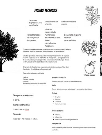 Sistematica vegetal — page 22