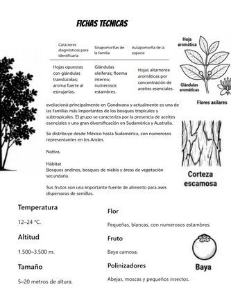 Sistematica vegetal — page 23