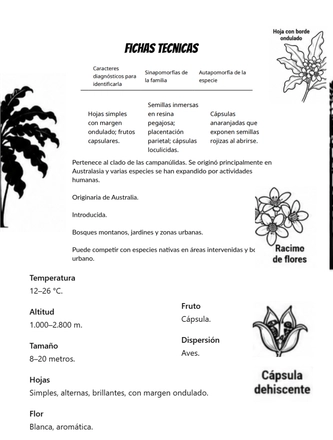 Sistematica vegetal — page 26