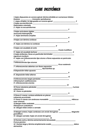 Sistematica vegetal — page 5