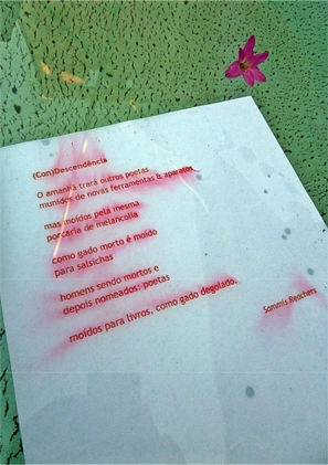 GRÃNADAS - experimental poetry - Sammis Reachers — page 24