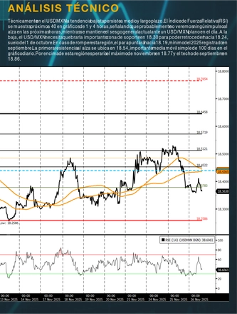 Nov 28, 2025 Morning Call — page 13